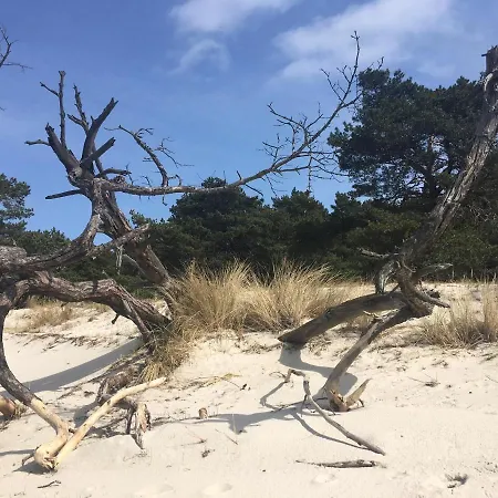 ホリデーパーク Osrodek Wypoczynkowy Helkamp ヘル